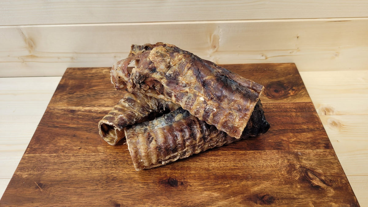 Benefits of Beef Trachea for Dogs The Natural Doggy Chews Co.